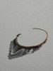 IMG_20240519_200410.thumb.jpg.6c7a32f3b0f08cf329601abe5c7547ce.jpg
