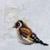 IMG_20240522_235207.thumb.jpg.d7793b1a4f7bdabb5f0a6d2671dd9387.jpg