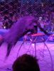 IMG_20240526_150429.jpg