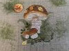 IMG_4978.jpeg