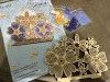 IMG_7255.jpeg