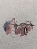 IMG_8385.jpeg