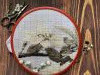 IMG_8679.thumb.jpeg.30ca83c64ee44fa156ac76881a3e9f81.jpeg?1715431842482