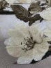 IMG_9187.thumb.jpeg.73e0e5d0e73ca752c06aa85a3245c324.jpeg?1715431859722