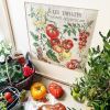 lin-etude-aux-tomates-maxi-grille1.thumb.jpeg.6ea50cf4e3f6e8b19bbd925a0058d9ff.jpeg