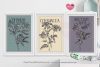 flower_vintage 123aad.jpg