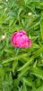20240601_091734.thumb.jpg.926e548ae1d66a27819def469627625e.jpg
