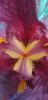 20240601_091920.thumb.jpg.d372df3a9c1068691d3178db7024ded6.jpg