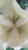 20240601_095429.thumb.jpg.a3cd4be63908718f0ea9c1f3f85fae9b.jpg