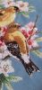 20240613_091937.thumb.jpg.de234be030bbd23ab401c8b395b946d7.jpg