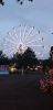 20240616_215216.thumb.jpg.58656d0ad2bad410fffe4d04f20e3d71.jpg