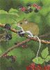 Heritage 1498, Wood Mouse