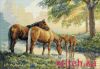 Dimensions 35174, Лошади у источника (Horses by a Stream)
