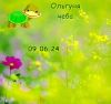 947416035_13.thumb.jpeg.8c2ab296f9331c6243d922136c151b32.jpeg