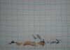 DSC07570.thumb.JPG.0001ecc3fab54139683814457c8e8c8d.JPG