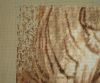 DSC07868.thumb.JPG.c6bd4c2a5546a7538910f631829f8e5b.JPG