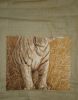DSC07891.thumb.JPG.31735ae35a3c5a66ff47857c6a315a93.JPG