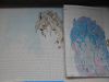 DSCN6241.JPG