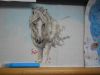 DSCN6248.JPG