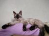 IMG20240315105750.thumb.jpg.a2a499a77c11accd02b6bf573f33bfd9.jpg