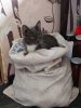 IMG20240412124433.thumb.jpg.3d13da51f4f2c35fb5c34c6e9c75870f.jpg