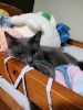 IMG20240423210622.thumb.jpg.a4c83e0888a6a1684908de30d5bbc4a2.jpg