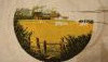 IMG20240505192908.thumb.jpg.190bdec6458be43d9b3cf88d87a5b924.jpg?1718532125763