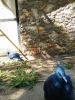 IMG20240525102610.thumb.jpg.945b12d0c804eb2bd75bcc3a903ff3c8.jpg