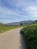 IMG_0049.jpeg