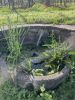 IMG_0050.jpeg