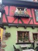 IMG_0081.thumb.jpeg.1652c13d72d9cee7cb91f004b2d068a4.jpeg