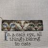 IMG_20240531_191441.thumb.jpg.7bb640e376ee96083be2ef7f5d838389.jpg