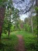 IMG_20240601_084532.thumb.jpg.9329ce82f51f01e4f1e19d5a8fe4c6db.jpg