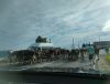 IMG_20240614_054749.thumb.jpg.b95532cc48ac2c6faeb8c54be1fde612.jpg
