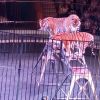 IMG_20240616_143131.thumb.jpg.0281f2554b2b72ae418b56066c038100.jpg