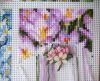 IMG_8266.thumb.jpg.1797b9d1a6596db3c2c72bed5c9b7df3.jpg