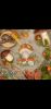 Screenshot_20240614_202858_Gallery.thumb.jpg.b3930eb9a55280c58c73539b61a3fc37.jpg