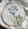 irises2.jpg.290d61c16149d68c2f064f16e02060ff.thumb.jpg.63ca4129a256fa329dd7ea04929d67fc.jpg