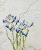 irises3.jpg.f4294b41e98655d02516fe2a4e564eaa.thumb.jpg.07a96cd2bc14d7e88a222f18aa5d2aeb.jpg