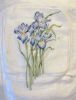 irises5.jpg.e44da986a3750029dacb44fc81d29174.thumb.jpg.a527d3da9b33eded4d362899f517a3bc.jpg