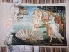 20240703_233554.thumb.jpg.b938bbd260c7ab12ce7aa064bd93d8e4.jpg?1720039425024