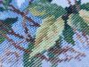 20240704_072051.thumb.jpg.9953fbc79a7d7ba4b64f8ae6a4d9dc44.jpg