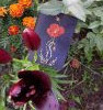 20240719_171201.thumb.jpg.dd1107232a06f78cf7e6b51375425b11.jpg?1722413347551