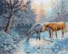 Frosty morning.jpg
