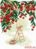 Риолис (Сотвори Сама) 2205, Вишневый сад