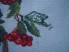 DSC04377.thumb.JPG.428495fe584e0f3940074cd1acd16854.JPG