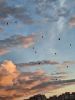 IMG-20240703-WA0010.thumb.jpg.8ffde66db9bd4806737c1cece8394dfa.jpg