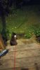 IMG-20240703-WA0011.thumb.jpg.19edf966409cf1fb923f1eb0c4797def.jpg