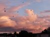 IMG-20240703-WA0016.thumb.jpg.0f1721ce45d90a3915ee310ffb6b5fa0.jpg