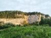 IMG-20240715-WA0011.thumb.jpg.7606a505c1af23b06fd5426c10dc26b6.jpg